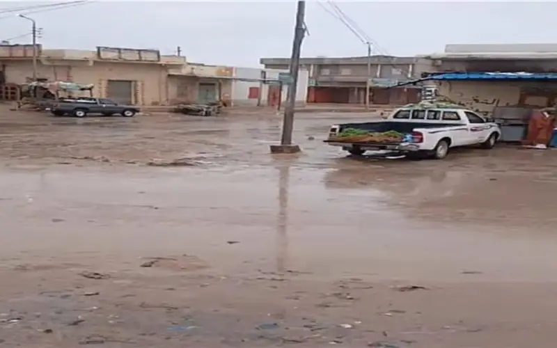 «الأرصاد» توضح خريطة سقوط الأمطار خلال الأيام المقبلة.. غزيرة ورعدية